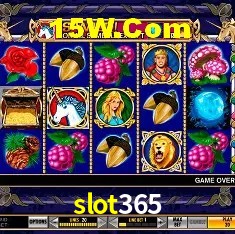 Recursos de Bônus slot365